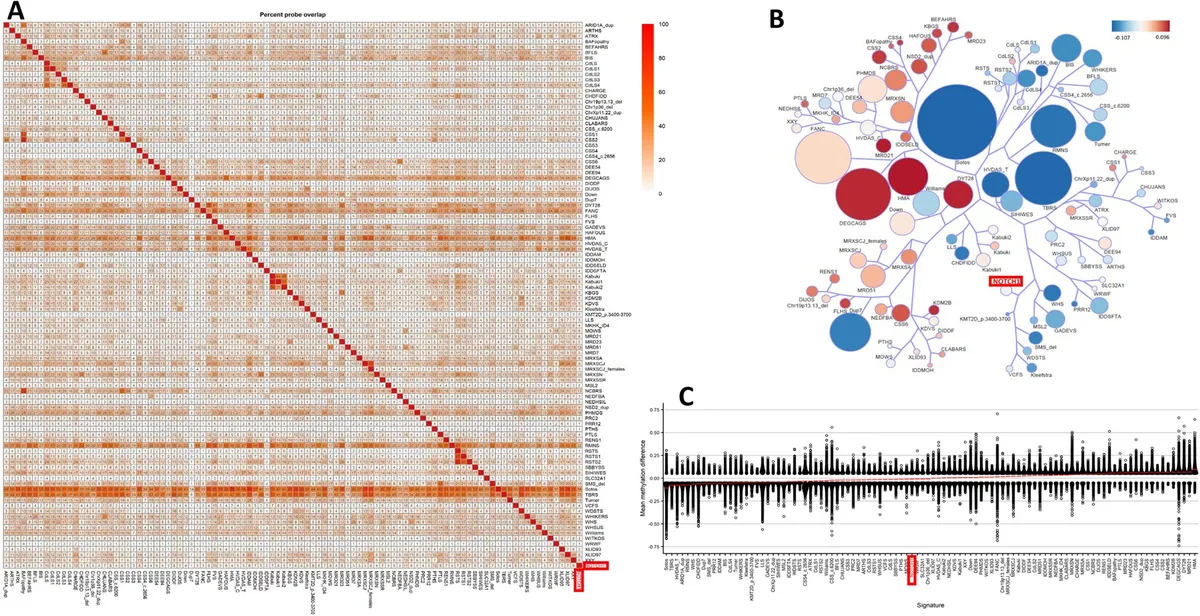 NOTCH1 Methylation Test Reveals Hereditary Baby Heart Defects
